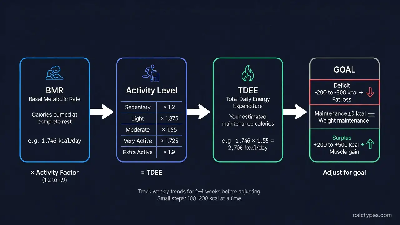 Workflow diagram showing how to go from BMR to TDEE by multiplying basal metabolic rate by an activity factor, then adjusting intake based on your goal — weight loss, maintenance, or muscle gain