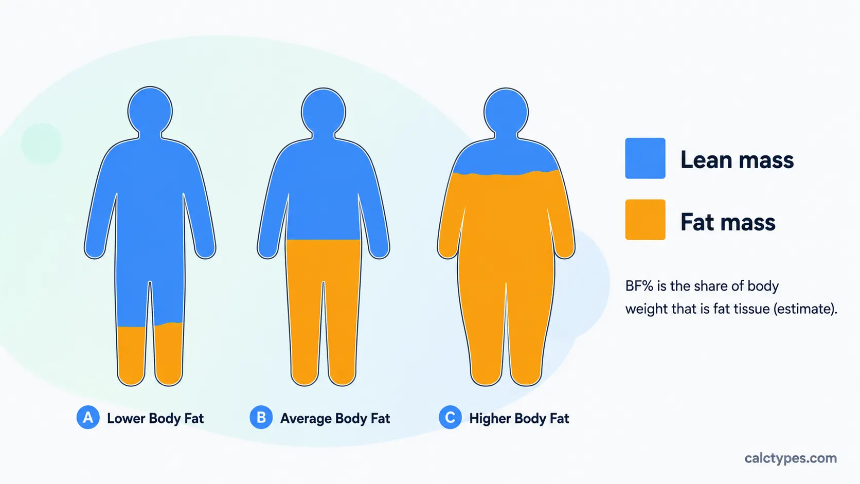 Diagram showing fat mass versus lean body mass composition at different body fat percentage levels
