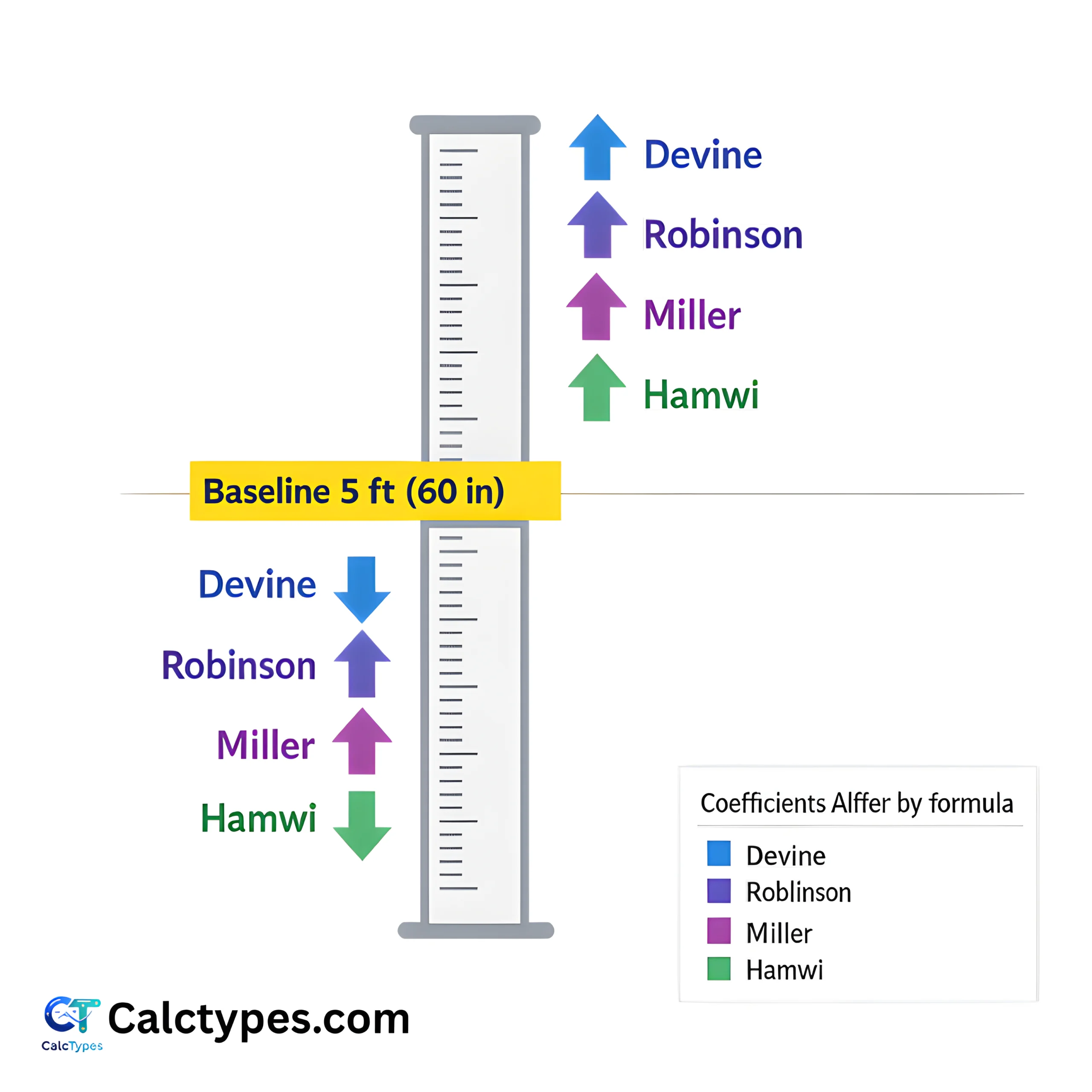Diagram showing ideal body weight baseline at 5 feet plus per-inch weight adjustment